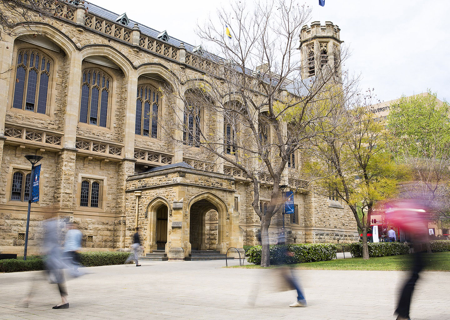 Information on courses; rankings & fees for The University of Adelaide