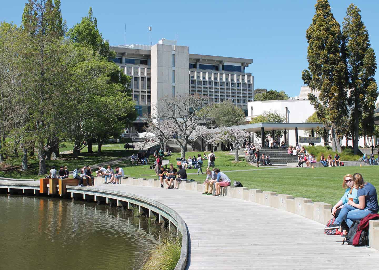 新西兰汉密尔顿大学图片